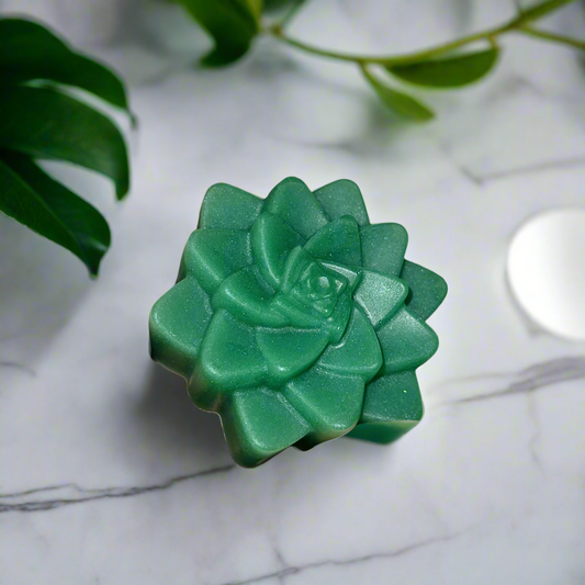 Succulent Soap Bar With Aloe+Agave Extract