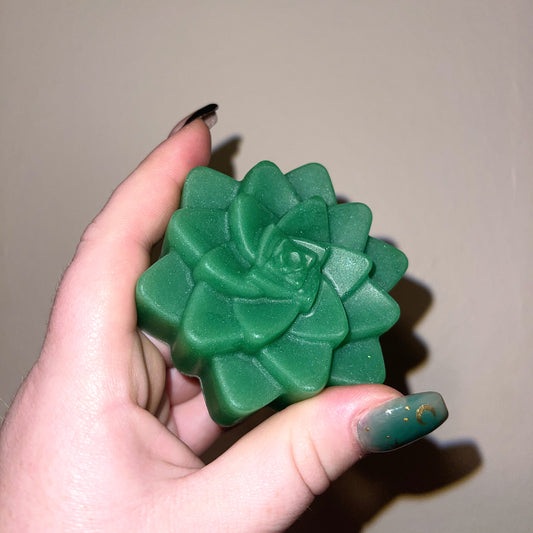 Succulent Soap Bar With Aloe+Agave Extract